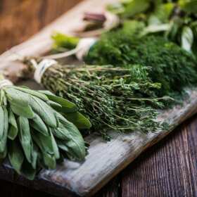 Zioła wspierające energię i witalność – Podlaskie Ziółko