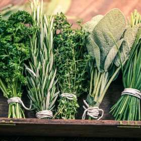 Zioła dla zdrowia zwierząt - Podlaskie Ziółko