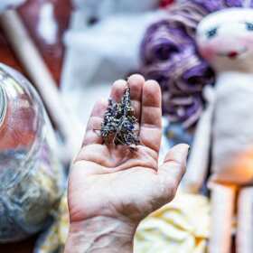 Zioła suszone – zdrowie i smak z Podlaskiego Ziółka