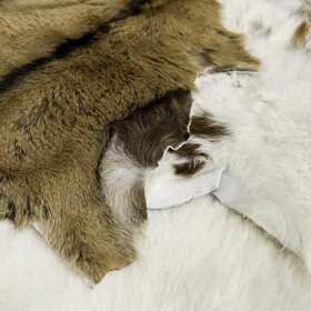 Tkaniny futerkowe - dystrybucja i jakość od Janwo