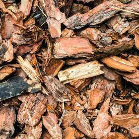 Kora sosnowa w architekturze krajobrazu – Kor-Drew