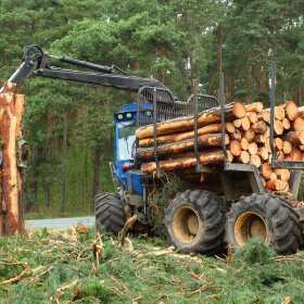 Maszyny do pracy w lesie – Wimex24