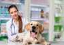 Kiedy warto udać się do centrum zdrowia zwierząt?