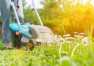 Jak dbać o ogród?