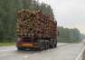 Bezpieczny krajowy i międzynarodowy transport drewna z firmą Love Las-Trans