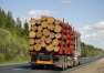 Jakie wymagania musi spełnić firma przewożąca drewno? Marek Mancewicz Usługi transportowe