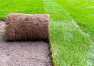 Dlaczego automatyczne systemy nawadniania są istotne przy pielęgnacji trawników z rolki? - oferta firmy Ekogród
