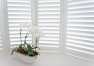 Kiedy zdecydować się na żaluzje, a kiedy lepiej wybrać rolety?