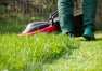 Jak zadbać o trawnik z firmą ABC Ogrody?