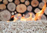 Biomasa – odpady drzewne, w których drzemie moc