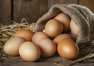 Jak wybierać świeże jaja dobrej jakości?