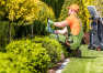W jakie ogrodnicze usługi warto zainwestować?