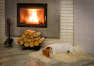 Jakie drewno kominkowe wybrać do swojego domu?