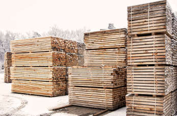 Czym zajmuje się tartak?