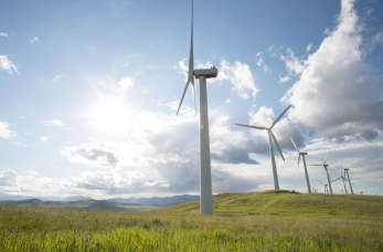 Energia wiatrowa - czy to dobre rozwiązanie?