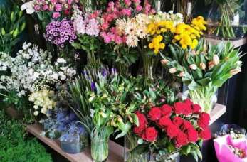 Jakie dekoracje do domu znajdziemy w Kwiaciarni Botanicznej?