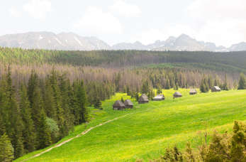 Bieszczady – doskonałe miejsce na rodzinne wakacje