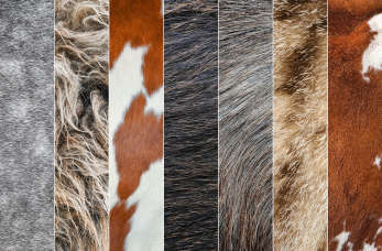 Zaufaj firmie Surimat – dostawcy z doświadczeniem!