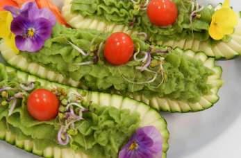 Turnus oczyszczający w Domu Ojca Pio, czyli przejście na dietę dr Ewy Dąbrowskiej