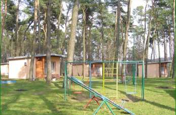 Gdzie zorganizować niepowtarzalną zieloną szkołę dla dzieci?