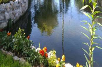 Herbergerówka – smażalnia ryb i sprzedaż żywego pstrąga