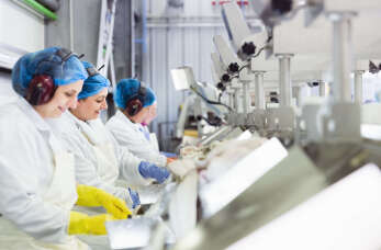 Wysokiej jakości maszyny i urządzenia dla firm zajmujących się przetwórstwem mięsa od Przedsiębiorstwa West