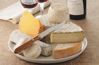 O tym, dlaczego warto spożywać produkty z mleka koziego, opowiada ekspert z przetwórni Capra Campinos