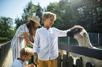 Dlaczego warto skorzystać z oferty gospodarstwa agroturystycznego Pod Kasztanem?