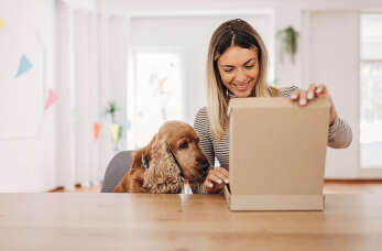 Poznaj 3 najważniejsze powody, dla których warto zamówić drobne artykuły gospodarstwa domowego w sklepie Zosia Samosia