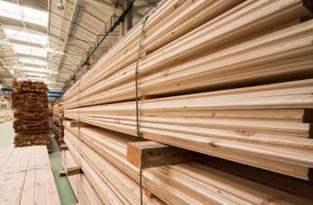 Usługi tartaczne na najwyższym poziomie - Piotr Czapka Zakład Drzewny