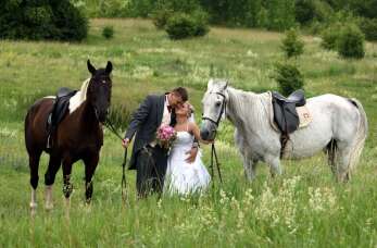 Uwiecznienie wyjątkowych momentów dzięki sesji ślubnej z firmą Foto Gabs s.c. Sławomir Klimczuk Mirosław Kucisz