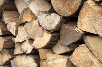 Energetyka przemysłowa też może być ekologiczna.