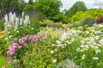 Ogród Firma Handlowo Usługowa Grażyna Makowska: Szeroki wybór produktów i akcesoriów do ogrodu