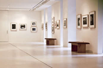 Czym różni się galeria sztuki od muzeum?