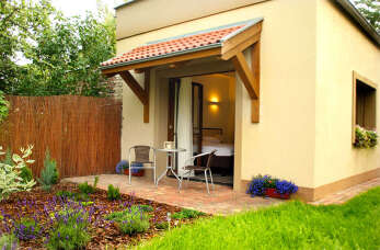 Bogata oferta noclegowa w City Center House Elephant w Poznaniu