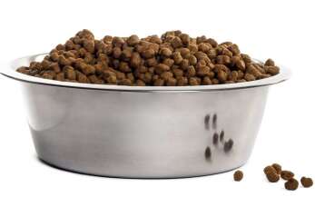 Karma bez drobiu i zbóż - kiedy to dobry wybór?