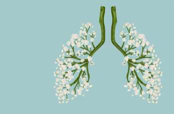 Praktyka lekarska Ewa Staszczyk: Homeopatia w zwalczaniu alergii - Alternatywne podejście do leczenia objawów