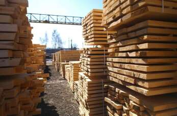 Zakład drzewny Piort Czapka: Jakie wyroby drewniane oferują tartaki usługowe?