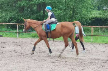 Jak zacząć przygodę z jazdą konną w Orlinek Gospodarstwo Agroturystyczne?