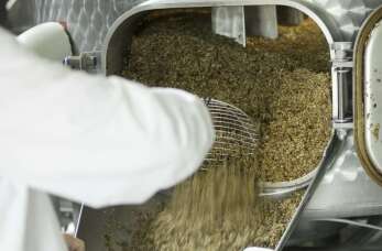 Produkcja mieszanek paszowych - co oferuje Zakład Handlowo-Usługowy Agromin?