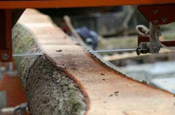 Jaki usługi i wyroby tartaczne oferuje firma Trak Serwis?