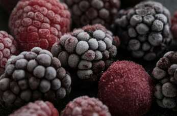 Mrożone owoce od firmy Mika - smaczne i zdrowe przekąski w każdym sezonie