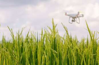 Sky Sensor: Wykorzystanie dronów w rolnictwie precyzyjnym - jak technologia wspiera współczesne gospodarstwa