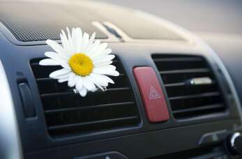 Odgrzybianie klimatyzacji: jak zadbać o świeże powietrze w aucie z pomocą El-Jot Service?