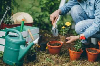 Narzędzia ogrodnicze, które ułatwią prace porządkowe