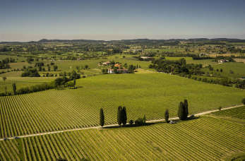 Metody zastosowania przenośników ślimakowych