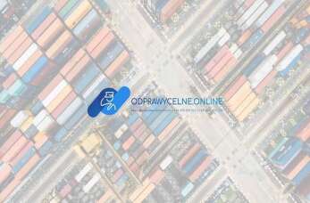 Odprawy celne dla firm – OdprawyCelne.Online