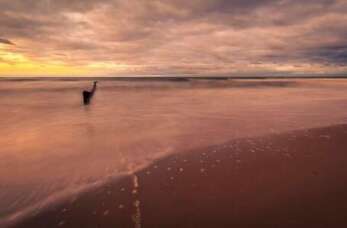 Wczasy nad morzem w Uśmiechu Morza – relaks i aktywność