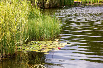 Czym jest ocena wodnoprawna i jak ją uzyskać?