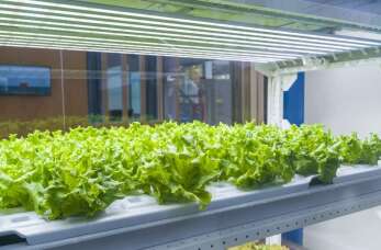 Płyty akrylowe w budowie szklarni – Bika